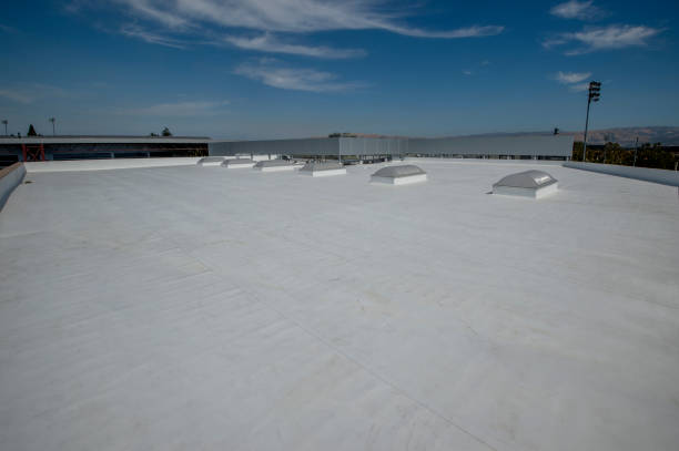 Best Roof Waterproofing  in Napoleon, OH