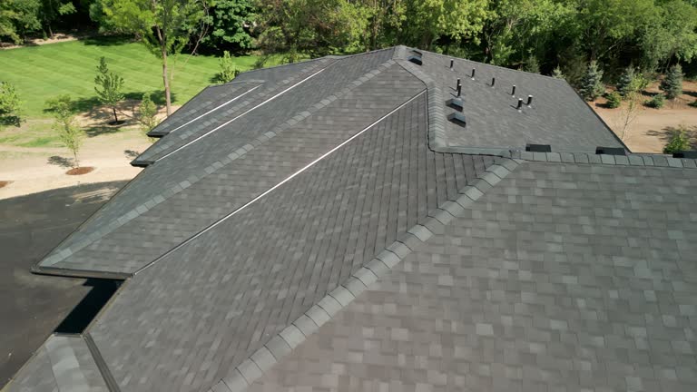 Best Solar Panel Roofing Installation  in Napoleon, OH