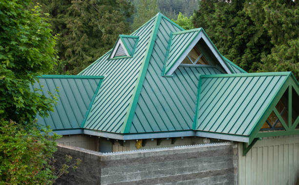 Best Gutter Installation and Repair  in Napoleon, OH
