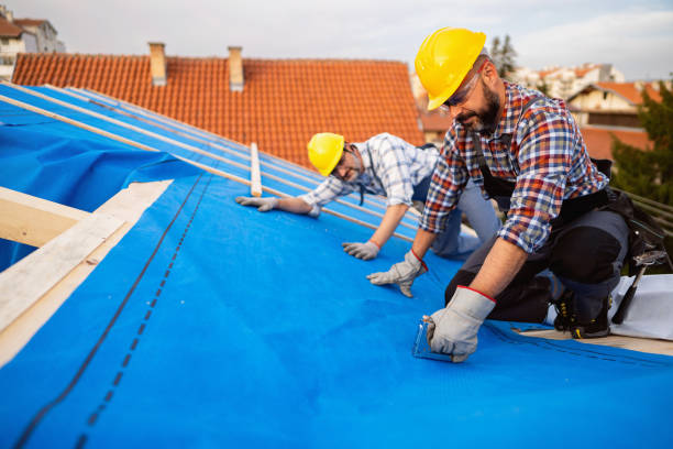 Best Hot Roofs  in Napoleon, OH