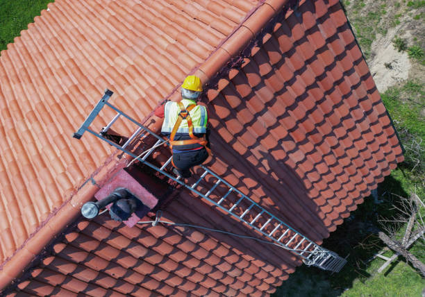 Best Roof Coating and Sealing  in Napoleon, OH
